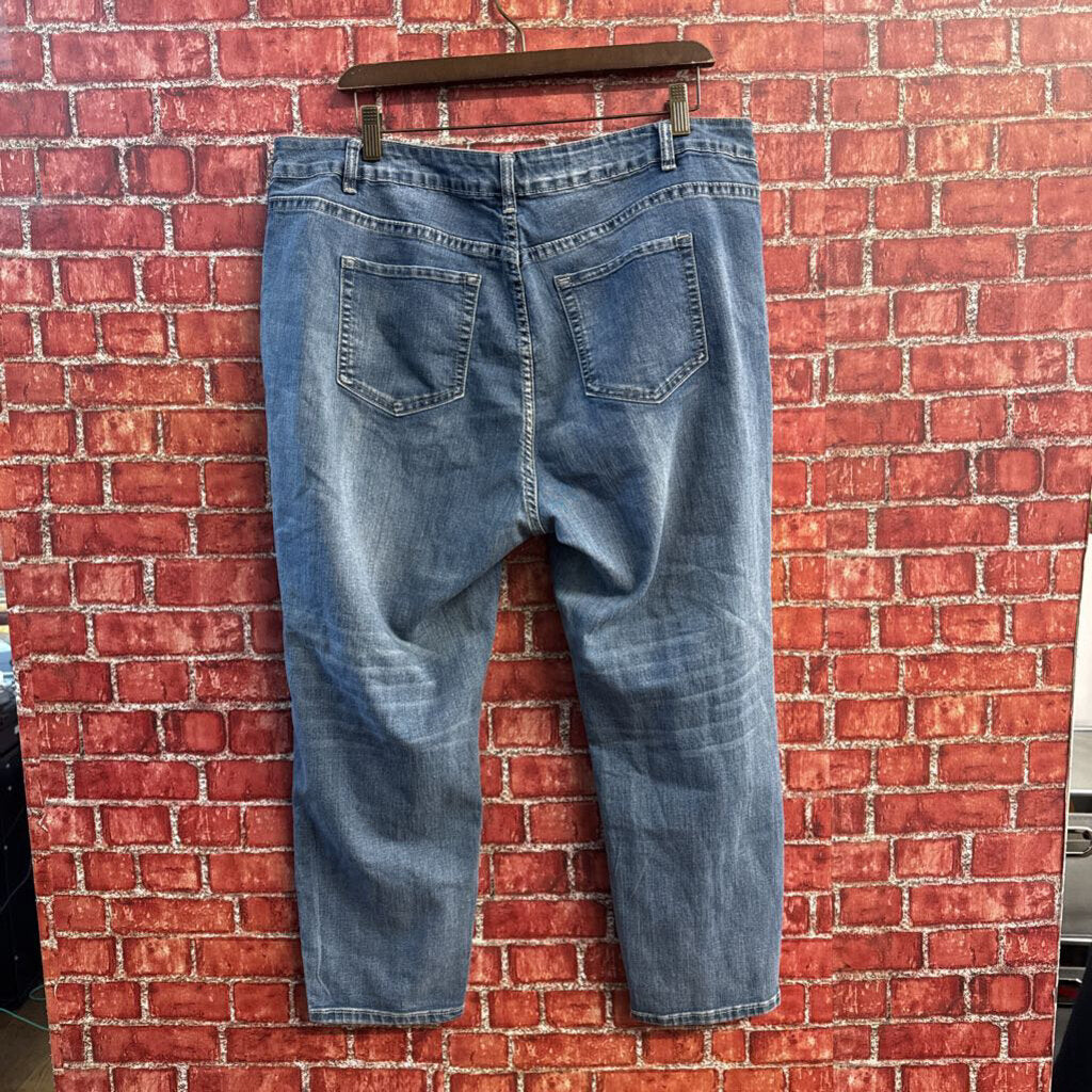 Avenue Jeans Capri Embroidered Flowers Blue Size 20