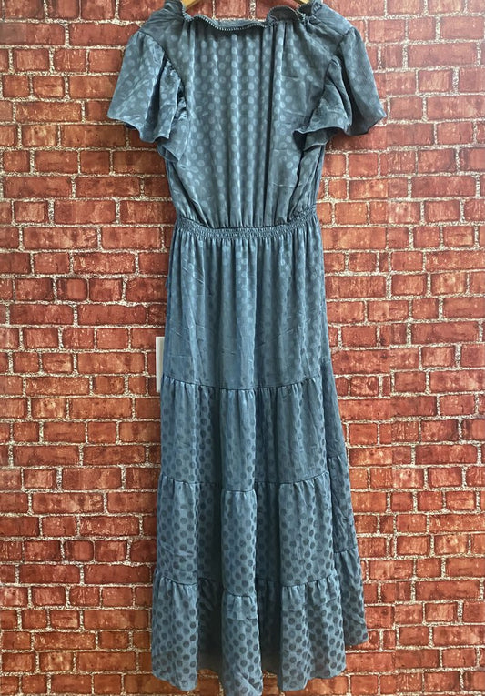 Max Studio Polka Dot Maxi Dress Blue S/M