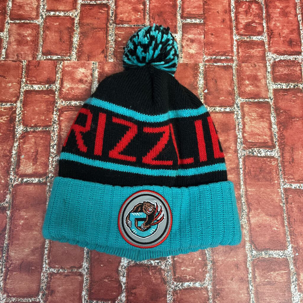 Grizzlies Beanie Teal