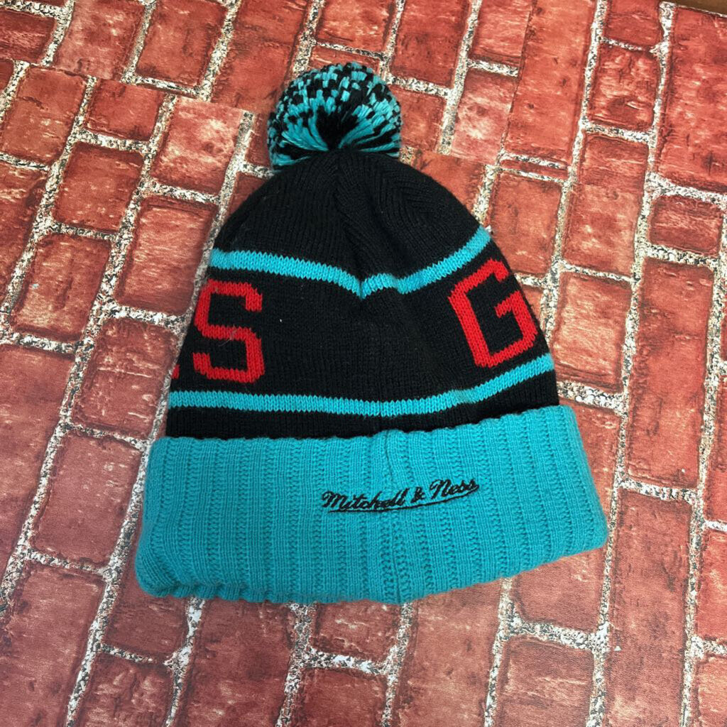 Grizzlies Beanie Teal