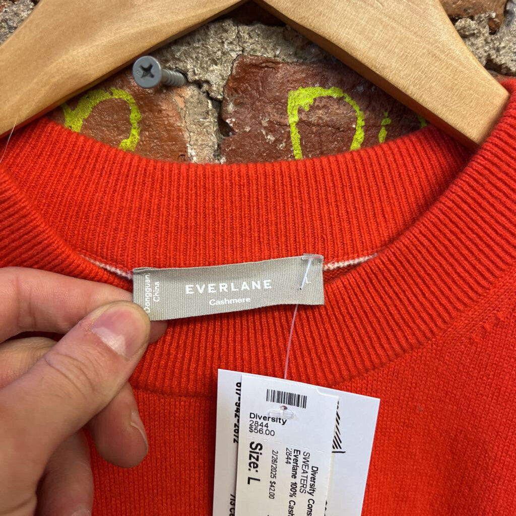 Everlane 100% Cashmere Sweater Orange Size L