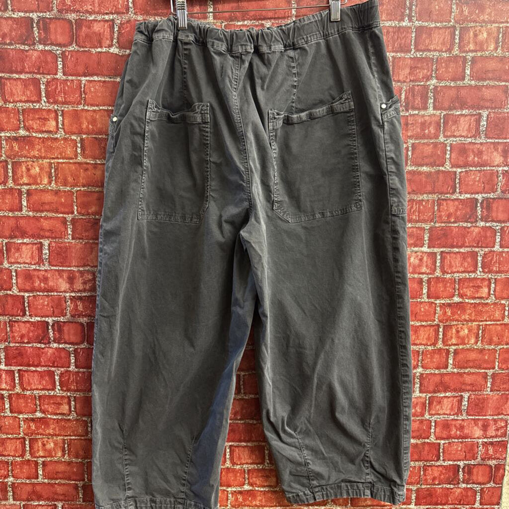 Anthropologie Pant Crop Big Pockets Grey Ladies Size XL